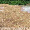 ภาพประกอบ ข่าวสาร ข่าวทั่วไป : ก.ทรัพย์ฯ ยันซากไม้ไม่ใช่ซุง อภิสิทธิ์ย้ำยังจำเป็นต้องสอบ