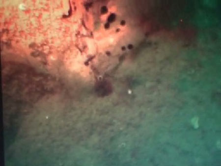 ข่าวสตูล : นักประดาน้ำโชว์ภาพรอยรั่วเรือใต้น้ำหาแนวทางแก้ปัญหาคราบน้ำมันสตูล