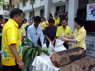 ข่าวระนอง : ชาว ระนอง มอบมวลสารให้ผู้ว่าฯ - สร้างจตุคามฯรุ่น ?ทรัพย์เนืองนอง?