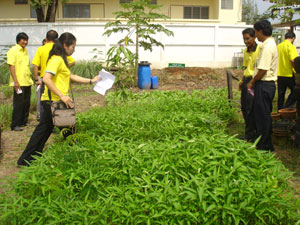 ข่าวภูเก็ต : ภูเก็ตเปิดศูนย์เรียนรู้เศรษฐกิจชุมชนถ่ายทอดความรู้สู่ ปชช.