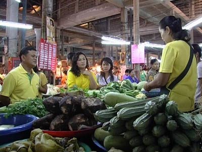 ข่าวตรัง : พาณิชย์ตรัง สอบราคาพืชผักช่วงกินเจ คาด ราคาขยับ 3-5 บาท/กก.