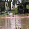 ภาพประกอบ ข่าวตรัง : พิษพายุจันจู ฝนตกหนักเกิดน้ำท่วมเมืองตรังแล้ว