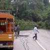 ภาพประกอบ ข่าวกระบี่ : พายุถล่มกระบี่ต้นไม้ 100 ปีหัก